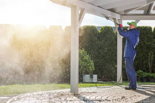 Best Solar Panel Cleaning  in Fort Ashby, WV